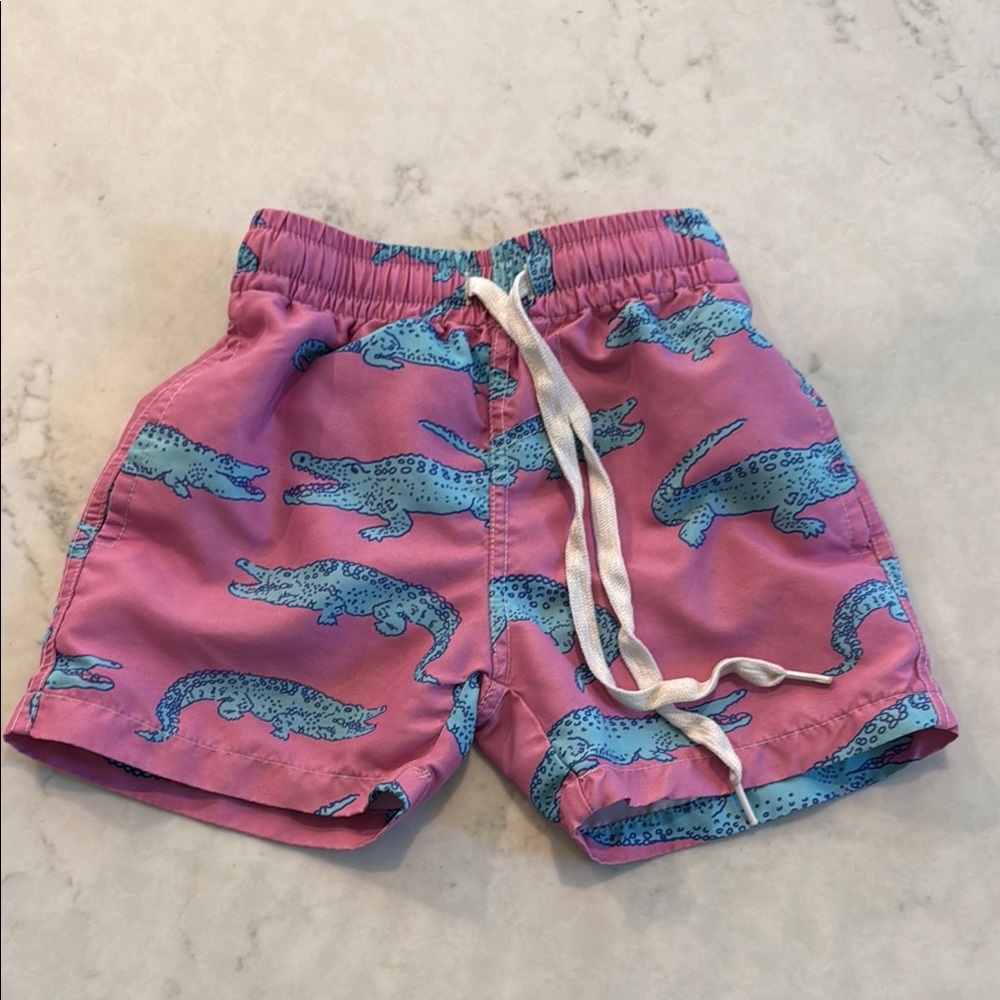 Chubbies Pink and Blue Swim Trunks with Alligator Print